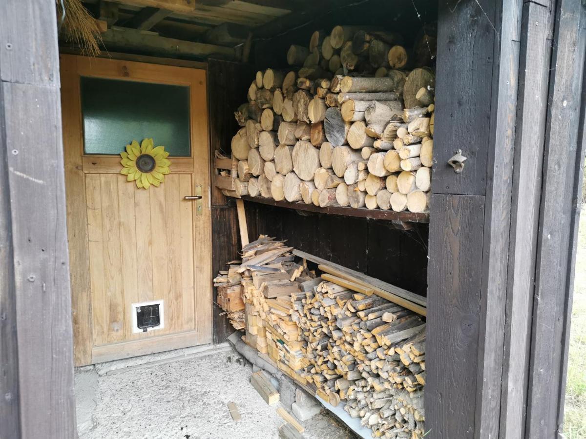 Appartement Ferienhaus Natur Pur à Thale Extérieur photo