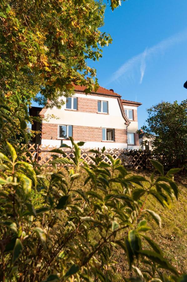 Appartement Ferienhaus Natur Pur à Thale Extérieur photo