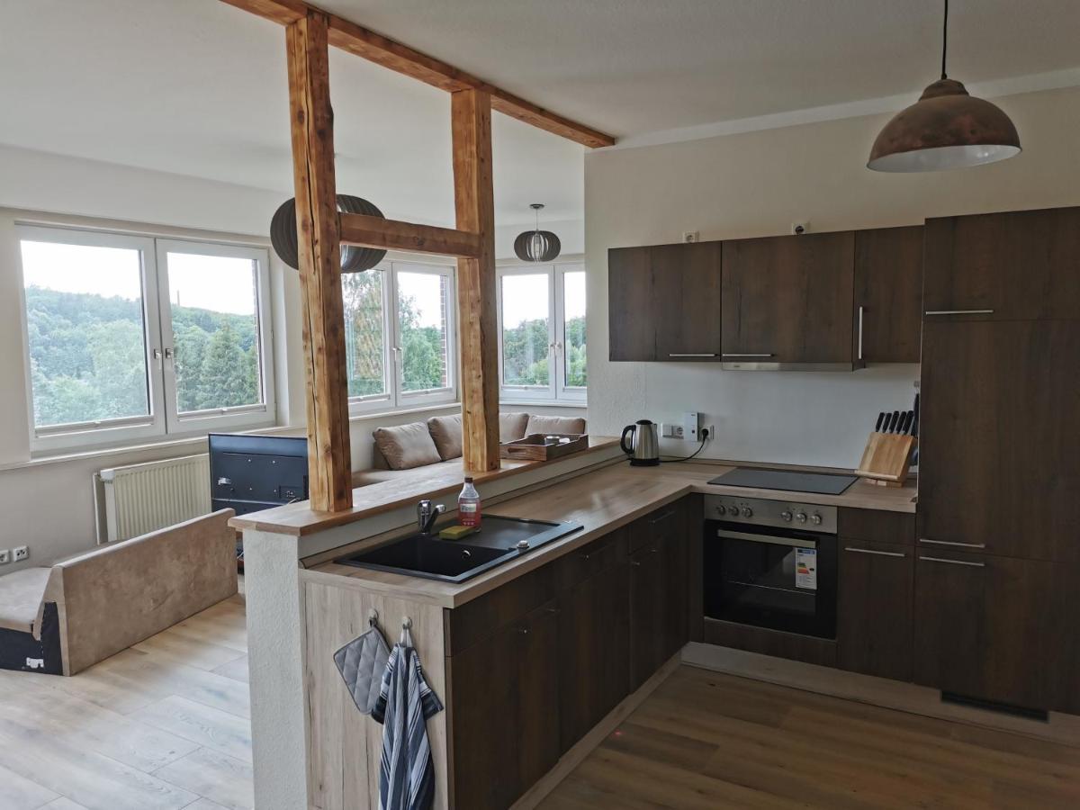 Appartement Ferienhaus Natur Pur à Thale Extérieur photo